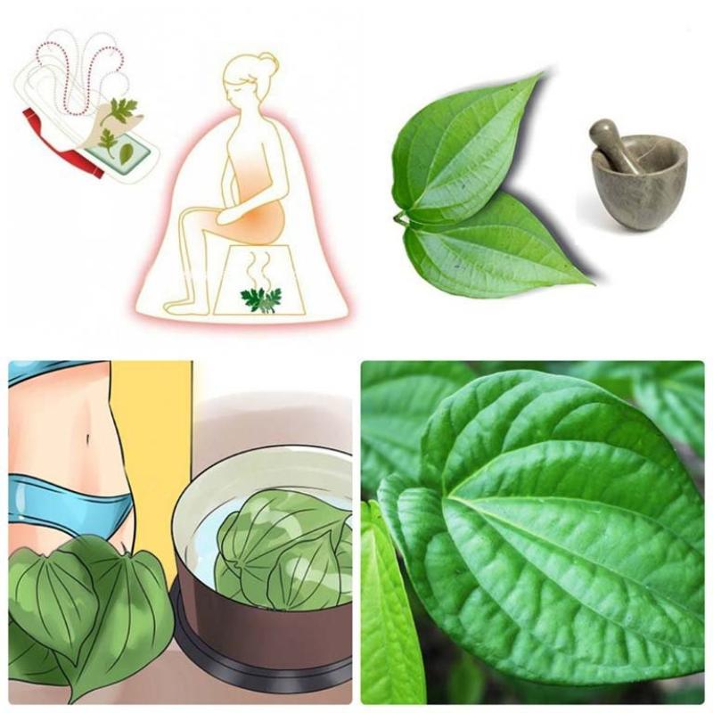 Cách làm se khít vùng kín bằng lá trầu không được nhiều chị em áp dụng